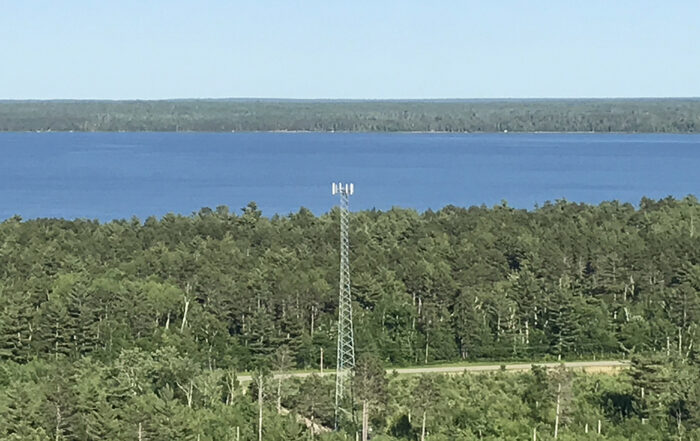 Beauty and Beyond Tower in the Woods by Lake