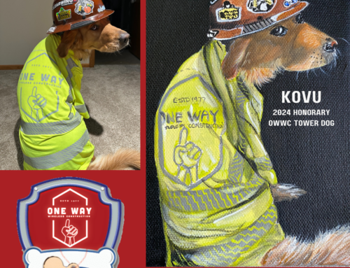 Kovu Becomes One Way’s Latest Tower Dog Winner